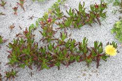 Image: Trevor James © Trevor James 